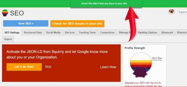Wordpress SEO Alternative